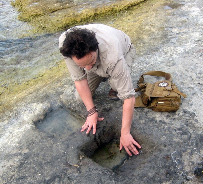 Giorgio A. Tsoukalos – Bild: aetn /​ THE HISTORY CHANNEL