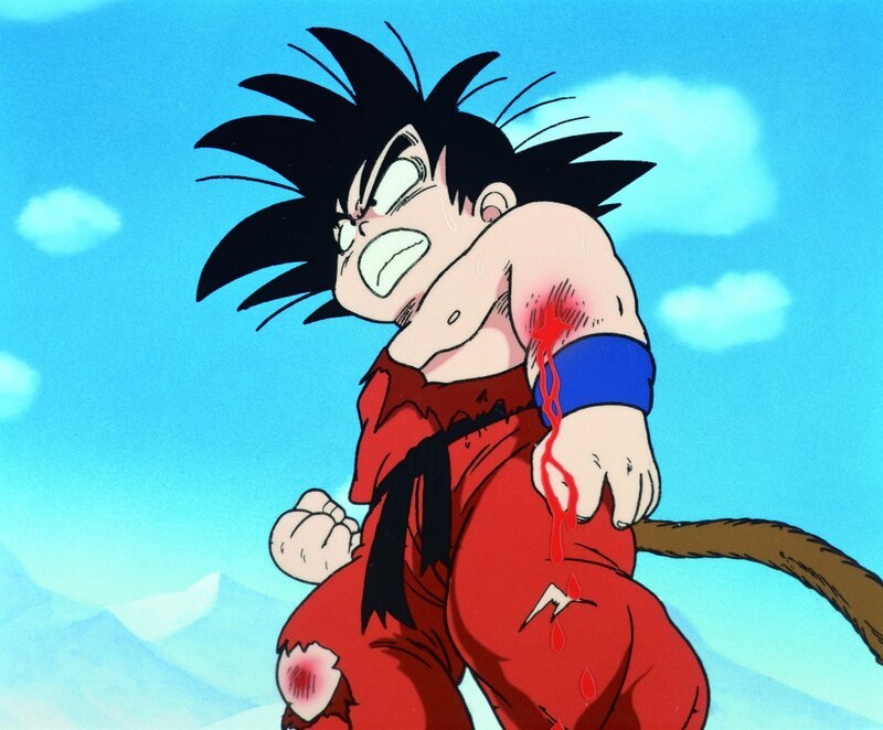 Bild: Bird Studio/​Shueisha, Toei Animation