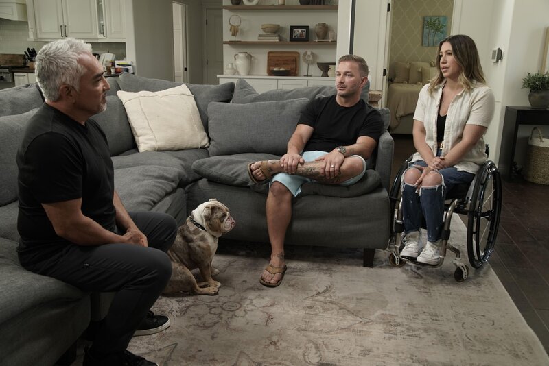 Cesar Millan mit Jay und Chelsie in ihrem Haus mit Bailey. – Bild: NGC NETWORK US, LLC