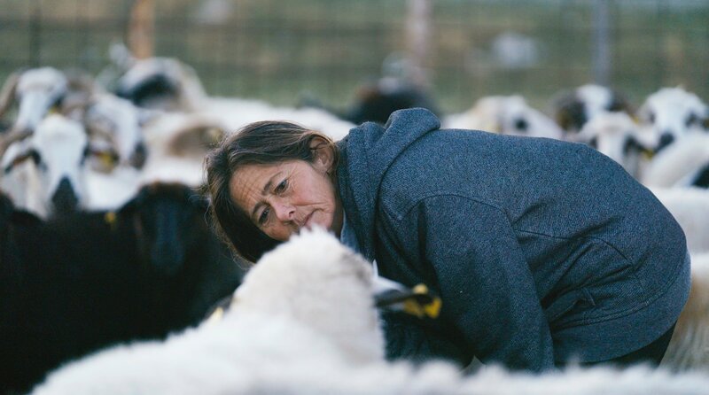 Slavka bei den Schafen – Bild: MDR/Dunja Engelbrecht Slavka bei den Schafen – Bild: MDR/Dunja Engelbrecht