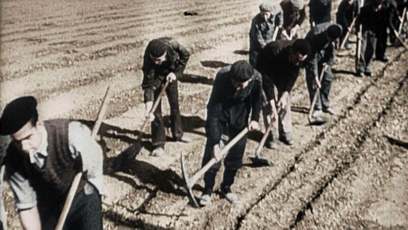 Greatest Events of WW2_Wendepunkte des Zweiten Weltkriegs Ep_09_Liberation_of_Buchenwald – Bild: RTL /​ World Media Rights Ltd.