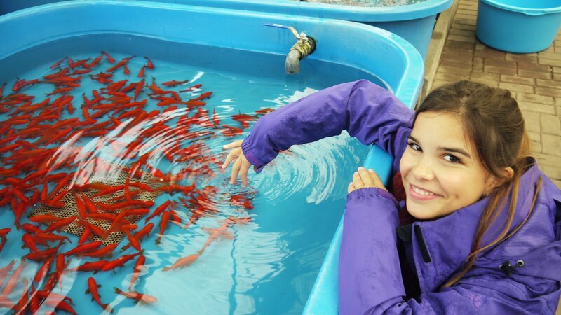 Tierreporterin Anna besucht eine professionelle Goldfischzucht. – Bild: BR/​TEXT + BILD Medienproduktion GmbH & Co. KG