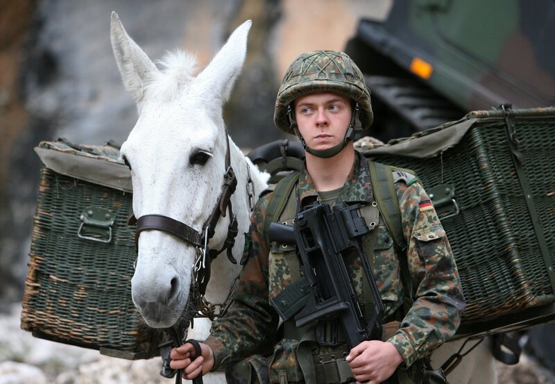Ein deutscher Gebirgsjäger mit seinem Maultier – Tiere, die im Krieg tragen, schnüffeln, warnen, spionieren oder Trost geben. – Bild: ZDF und leonhardt, frank