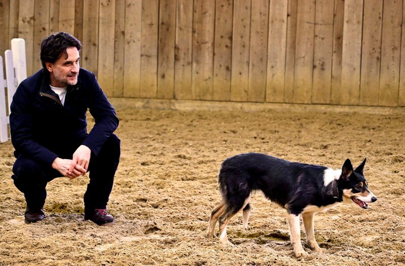 Oliver Mommsen wagt den Perspektivwechsel – und lernt mit einem Hütehund, was es heißt, ein Hirte zu sein. – Bild: MDR/​Alexandra Helbach