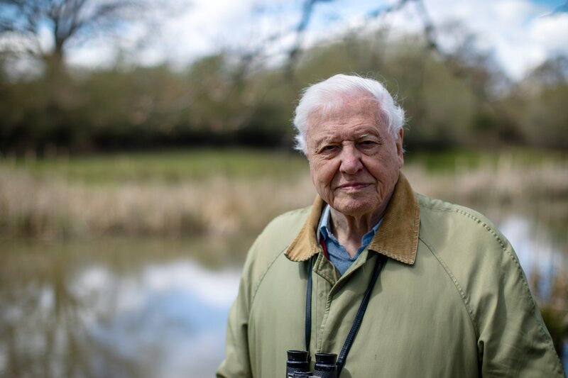 Der britische Naturforscher und Tierfilmer Sir David Attenborough war 2020 entscheidend an der Gründung des „Earthshot Prize“ beteiligt und ist neben Prinz William Presenter der Doku-Reihe. – Bild: BBC/​Studio Silverback/​Toby Strong