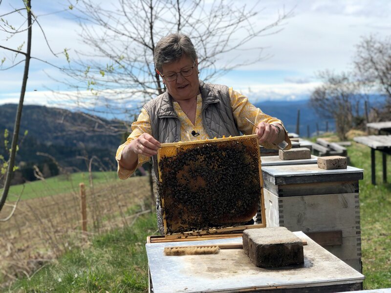 Bioimkerin Brigitte Kirchner. – Bild: ORF/​Ab Hof TV Produktion