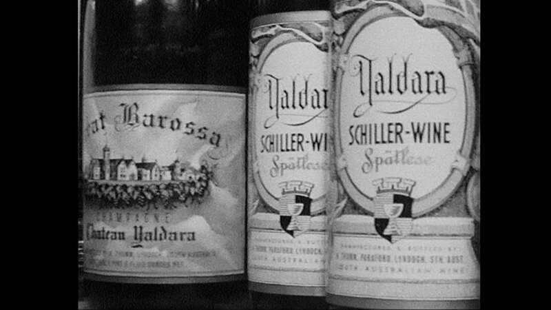 Wein aus dem Barossa Tal nordöstlich von Adelaide in Australien. – Bild: BR/​WDR