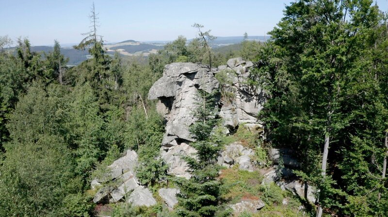 Steinwald-Sphinx. – Bild: BR/​Matthias Hlous