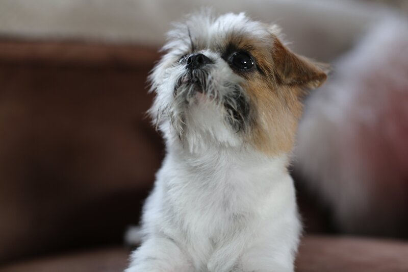 Ted – Bild: Blast!