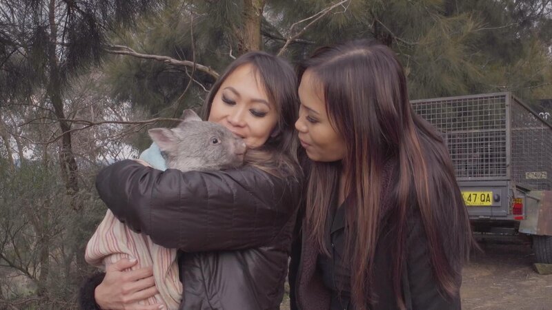 Bild: 2023 WTFN Entertainment Pty Ltd. Lizenzbild frei