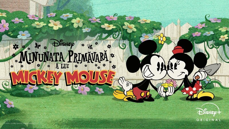 Bild: Disney+ Bild: Disney+