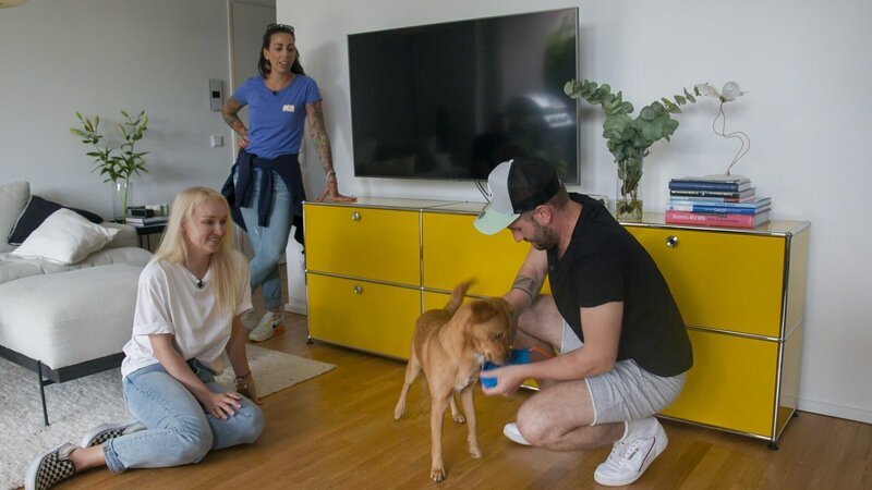 Ellen Marques (2.v.l.) bei Katharina und Björn mit Mischling Buddy – Bild: RTL