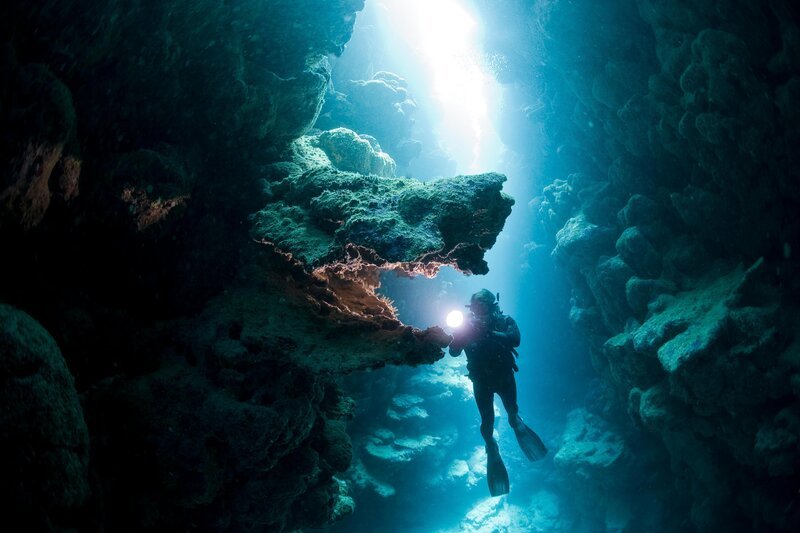 Dank modernster Ausrüstung und Kameratechnik bietet die Dokumentation „Unsere Ozeane“ beeindruckende Bilder über das geheimnisvolle Innenleben der Ozeane, dem größten und artenreichsten Lebensraums unseres Planeten. – Bild: Canal+