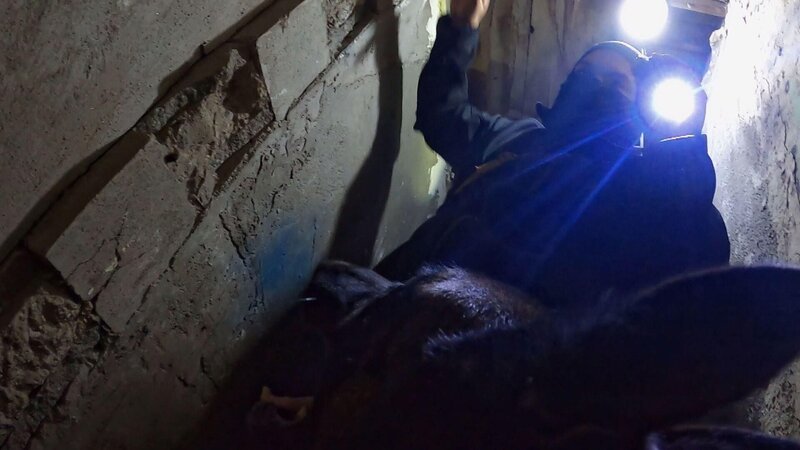 Polizist mit Taschenlampe – Bild: RTL /​ OMAVA LLC