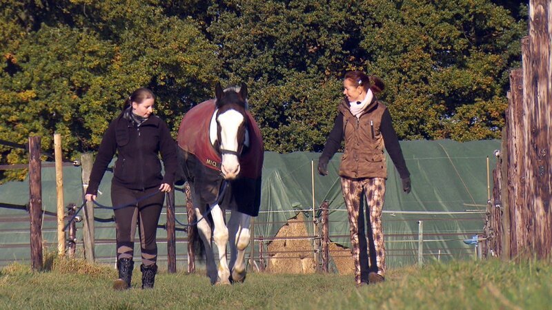 So einen ungewöhnlichen Fall hatte auch Pferdeprofi Sandra Schneider (r.) noch nicht: Jenny Jochheims sechsjährigen Wallach „Sito“ hat eine ungewöhnliche Leidenschaft: Löcher buddeln … – Bild: VOX /​ Mina TV