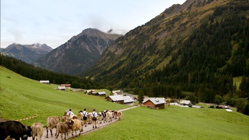 Viehscheid ins Kleinwalsertal. – Bild: ORF /​ Telepool