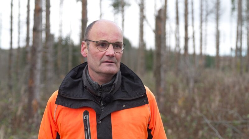 NDR Fernsehen NDR STORY – SÜNDENBOCK REH, „Wie viel Wild verträgt unser Wald?“ Hans-Martin Hauskeller, Landesforsten Niedersachsen: „Für den Harz haben wir die Notwendigkeit, die Abschüsse zu erhöhen.“ – Bild: NDR/​Büll