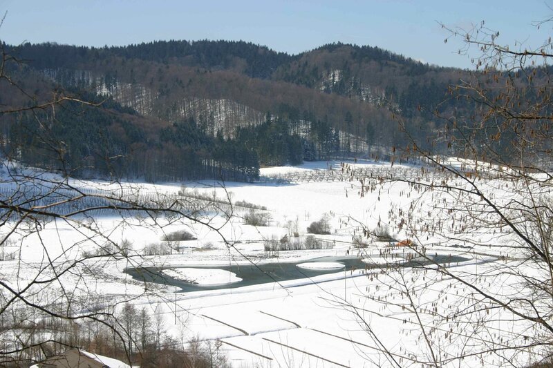 Eingebettet in eine der am stärksten genutzten Kulturlandschaften am Bodensee liegt der Heinz-Sielmann-Weiher. – Bild: BR/​Biotopverbund Bodensee