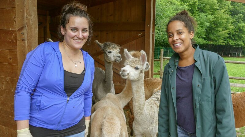 Großtierärztin Meli und Pia (rechts) behandeln auch Alpakas. Diese hier haben mit Parasiten zu kämpfen, die ihnen Probleme auf der Haut machen. – Bild: BR/​Text und Bild Medienproduktion GmbH & Co. KG
