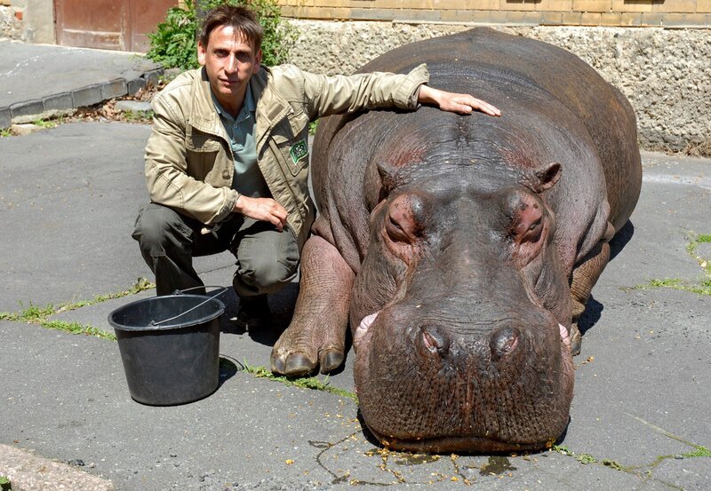 Cheftierpfleger Conny (Thorsten Wolf) und seine neue Freundin Fanny. Von den anfänglichen Berührungsängsten ist nichts mehr zu spüren. Man versteht sich prächtig. – Bild: NDR/​ARD/​Christa Köfer