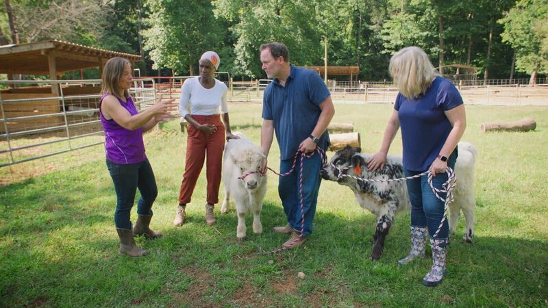 . – Bild: Warner Bros. Discovery