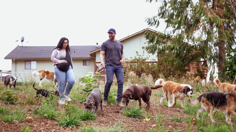 Lee Asher (r.) und Sonia Gomez (l.) machen einen Spaziergang mit dem Hunderudel. – Bild: Jean Nagy /​ Group Nine Media, Inc. /​ Photobank. /​ Discovery Communications, LLC