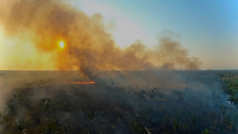 Auch wenn die Brand-Saison 2025 später beginnt: Der Amazonas ist bedroht. – Bild: Sylvestre Campe /​ ZDF und Sylvestre Campe