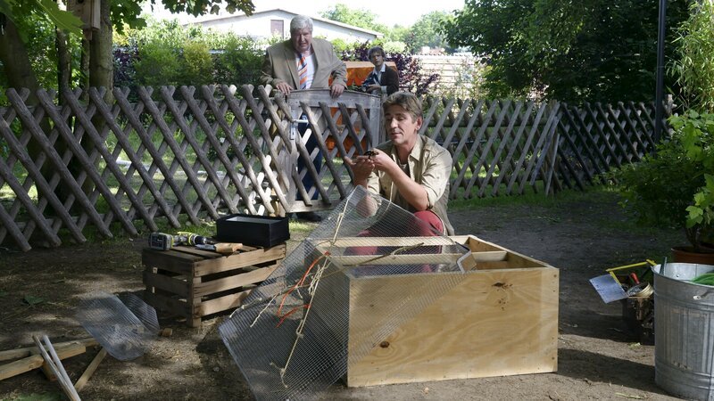 Fritz Fuchs (Guido Hammesfahr, r.) baut ein ausbruchsicheres Zuhause für den Salamander, Nachbar Paschulke (Helmut Krauss, l.) beäugt das kritisch. – Bild: ZDF/​Antje Dittmann