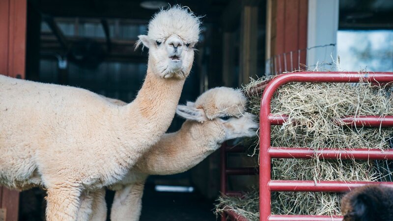 This image has been distributed to our partners. – Bild: Warner Bros. Discovery