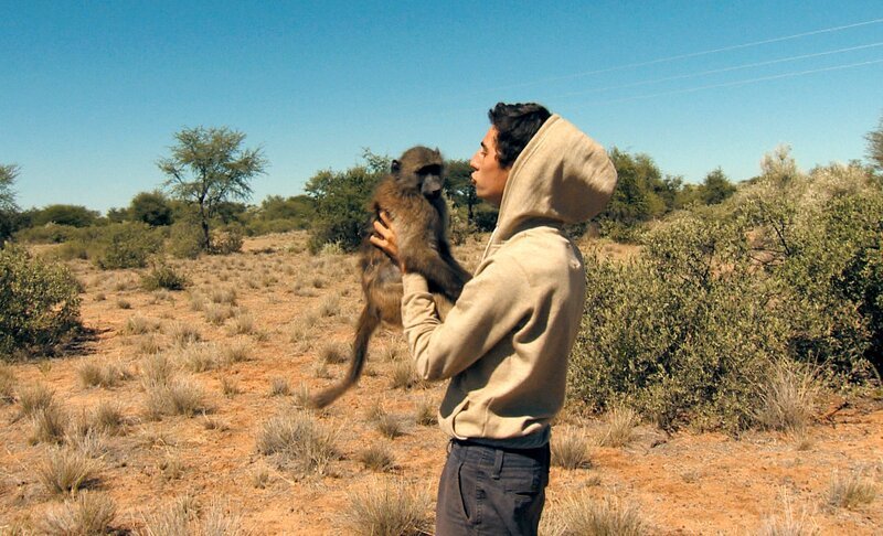 Einige der Volontäre kennen den Umgang mit Pavianen schon von einem früheren Besuch. – Bild: SWR/​Frederik Füssel
