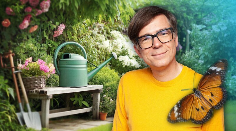 Hecke ist nicht gleich Hecke: Während Kirschlorbeer zwar ordentlich aussieht, aber fast keiner Art Nahrung bietet, versorgen heimische Sträucher wie Weißdorn, Kornelkirsche oder Hasel Hunderte Insekten- und Vogelarten. Quarks zeigt, wie Gärten zugleich schön, funktional und artenreich sein können – ohne zusätzlichen Aufwand. – Die Sendung moderiert Ralph Caspers. – Bild: WDR/​Tilman Schenk/​KI