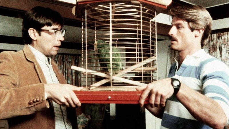 Die Detektive Murray (Thom Bray, li.) und Cody (Perry King) sollen den Papagei eines Klienten betreuen, der angeblich vom CIA verfolgt wird. – Bild: (c) RTL Crime