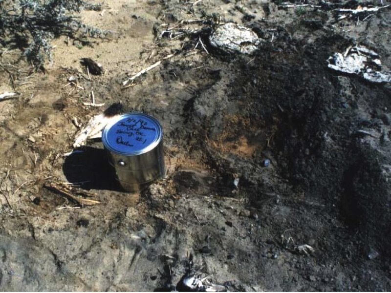 Bild: ProSiebenSat.1 Media SE