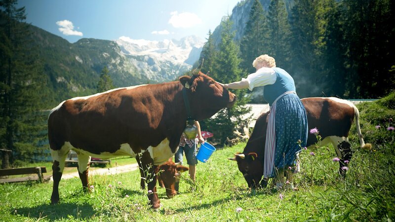 Altsennerin auf der Seeklaus-Klackl-Alm in Gosau. – Bild: ORF/​Fischerfilm
