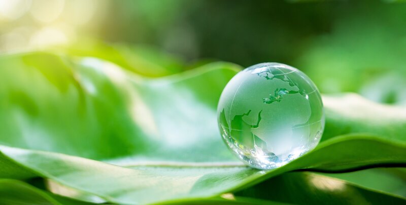 Glaserde auf grünem Hintergrund – Bild: Getty Images