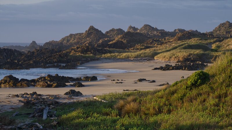 Vor 12.000 Jahren wurde Tasmanien von Australien getrennt und entwickelte seine eigenen Naturräume. – Bild: ORF/​Doclights /​ NDR Naturfilm/​Roland Gockel