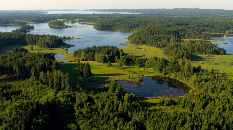 Die Osterseen – eine Gruppe von Gewässern, umrandet von Bäumen, nahe des Starnberger Sees. – Bild: phoenix/​ZDF/​Tobias Kaufmann
