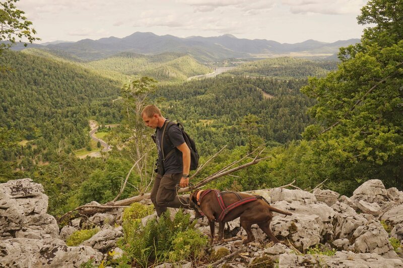 Der Tierschützer Vedran Slijepcevic ist auf der Suche nach einem dreijährigen Luchs, der vor kurzem ausgewildert wurde. – Bild: ZDF und arte/​Pond5/​Petar Kurschner.