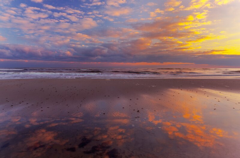 An der Ostsee: Die Dokumentation zeigt unter anderem den Lebensraum Küste von seiner schönsten Seite und stellt die dort lebenden Arten vor. – Bild: Sailer Images