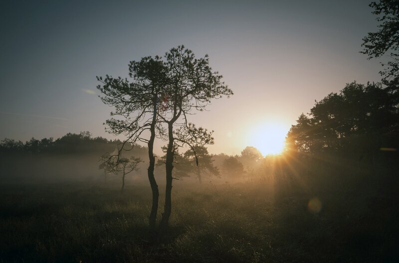 Moorlandschaft im Sonnenaufgang: „Heimat Natur – Berge, Wälder, Moore“ ist der erste Teil einer zweiteiligen Dokumentation, die sich mit dem Zustand der Natur unserer Heimat befasst. – Bild: nautilusfilm
