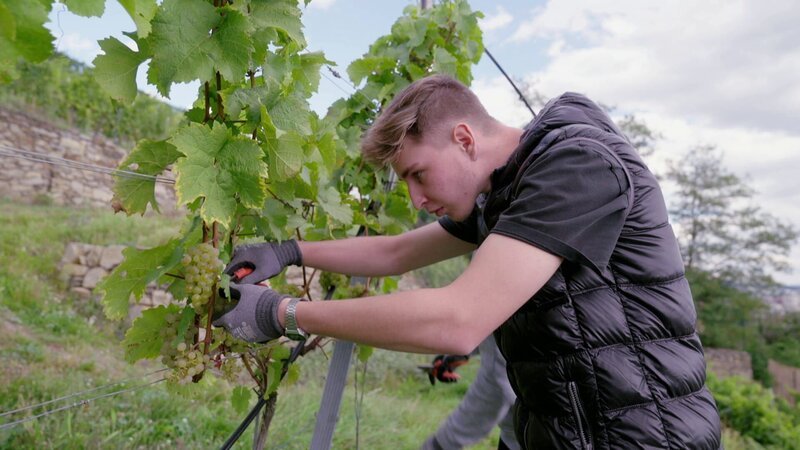 Jack Hillinger – Bild: PULS 4