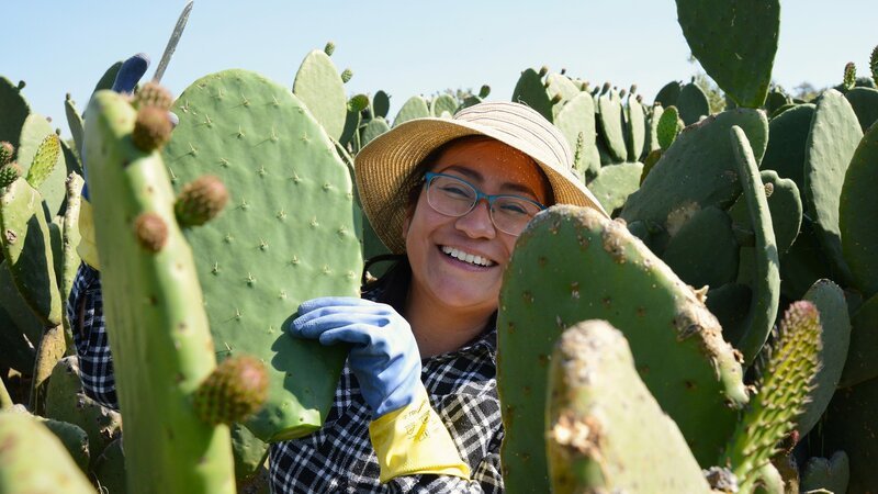  – Bild: SRF/​MedienKontor/​Joanna Michna