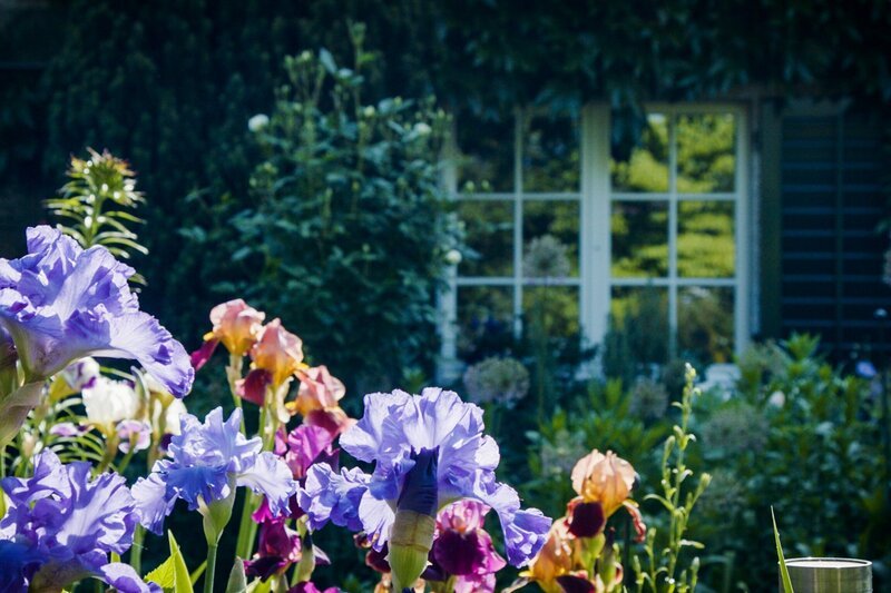 Hinter den Hecken – Folge 8 Farben-Garten in Amriswil TG Mark Kamber – Bild: SRF