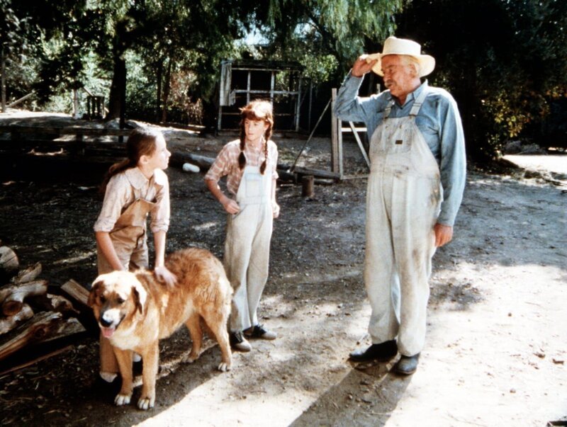 Sam (Will Geer, r.) empfiehlt seiner Enkelin (Kami Cotler, M.) und ihrer neuen Freundin (Tasha Zemrus, l.), dem alten Hund ein wenig Ruhe zu gönnen. – Bild: Sat.1 Gold