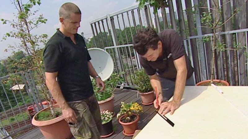 Bild: RTL Bild: RTL