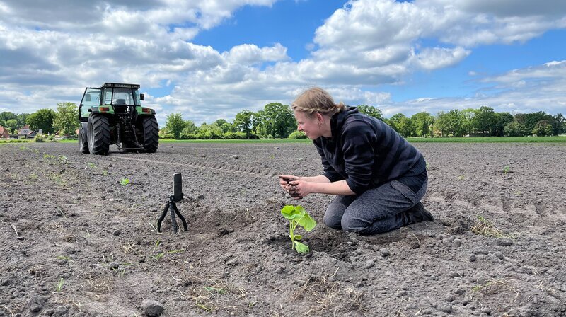 Mit dem Handy auf dem Acker. Gesa Ramme nimmt ihre Follower:innen bei ihrer Arbeit mit. – Bild: NDR/​Nory Stoewer