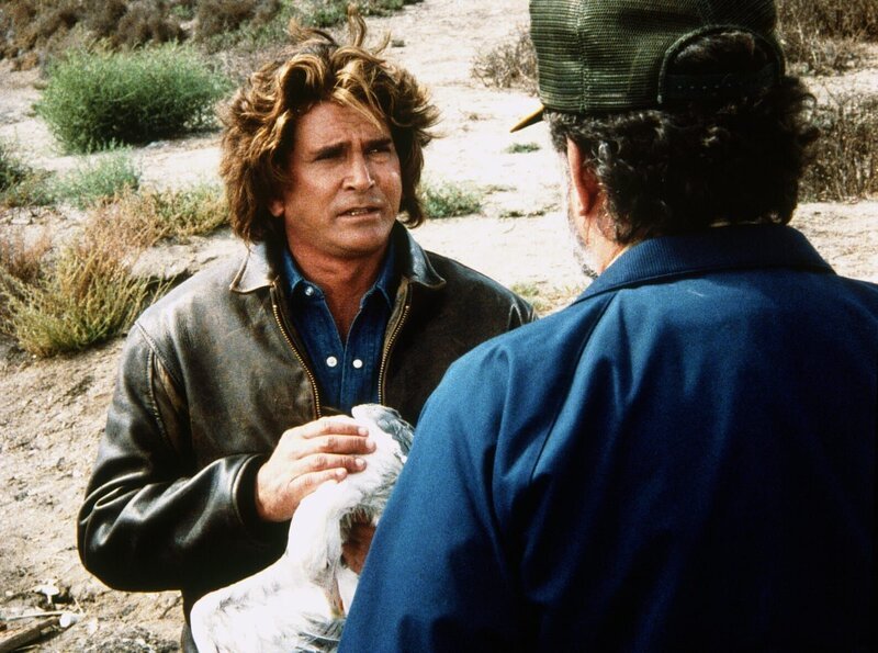Jonathan (Michael Landon, l.) und Mark (Victor French, r.) finden verendete Seevögel in den Gewässern von Rose Beach. – Bild: Worldvision Enterprises, Inc.