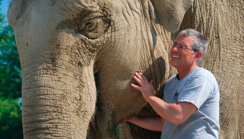 Bayerisch, Englisch, Hindi – wie sprachbegabt sind Elefanten? Weiteres Bildmaterial finden Sie unter www.br-foto.de – Bild: ARD/​Jens-Uwe Heins