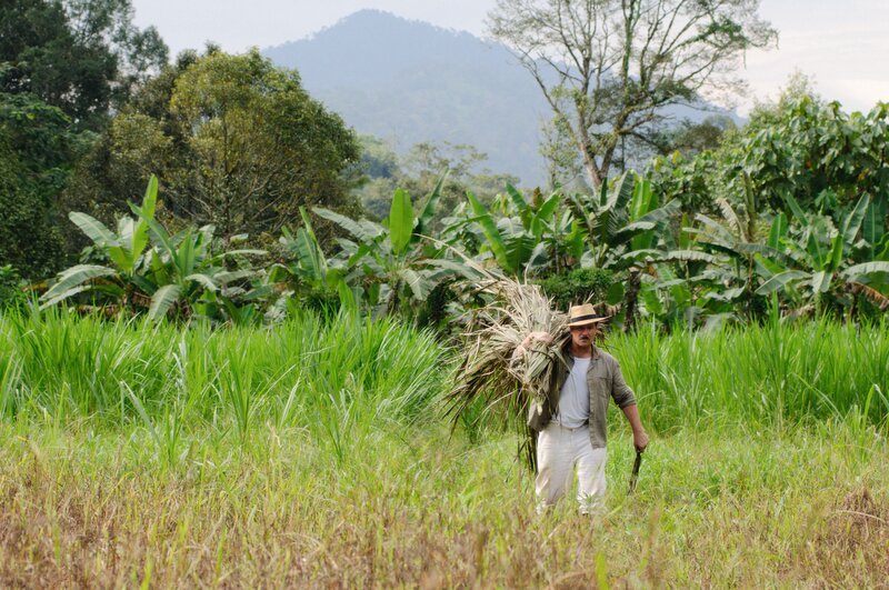 Francis Fulton-Smith (Hans Jakob Braun). – Bild: ORF III