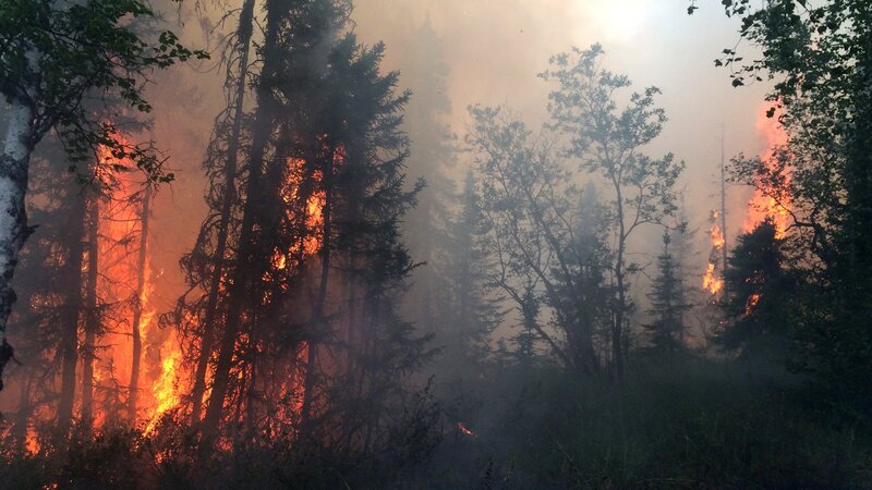 The Alaskan wildlife is on the heels of the Bureau of Land Management firefighters as they will need to begin the back burn soon. – Bild: Discovery Channel /​ Photobank